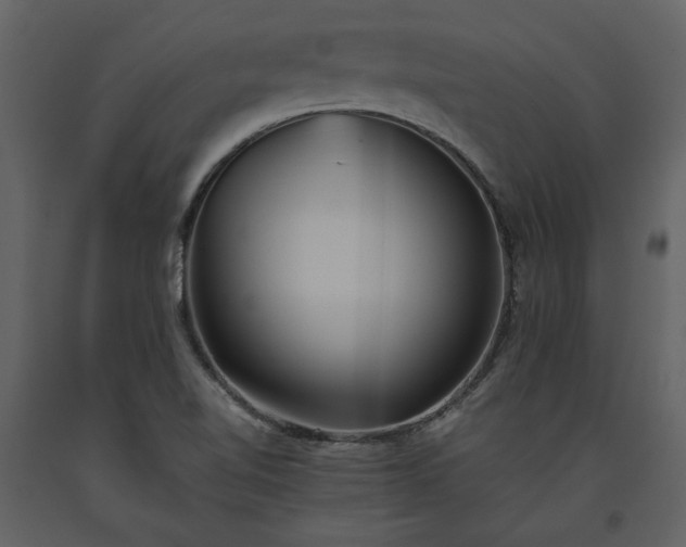X0000093611510200710221557