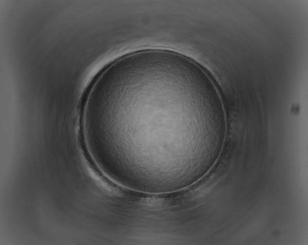 X0000093611511200710221557
