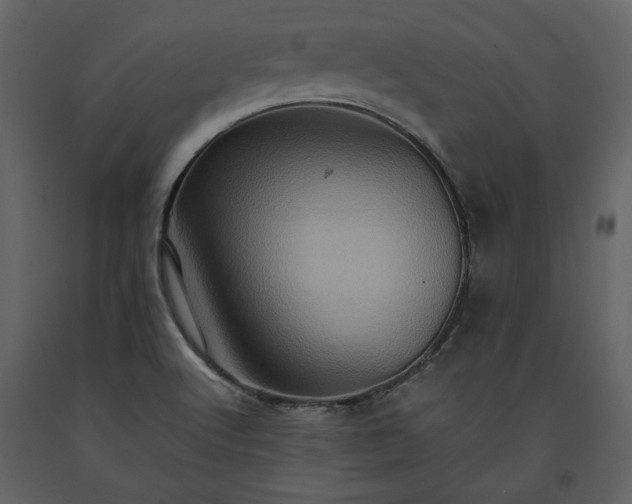X0000093611512200710221557