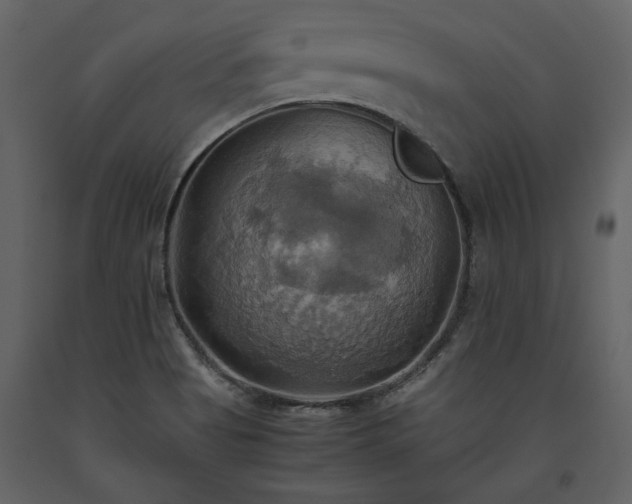 X0000093611513200710221557