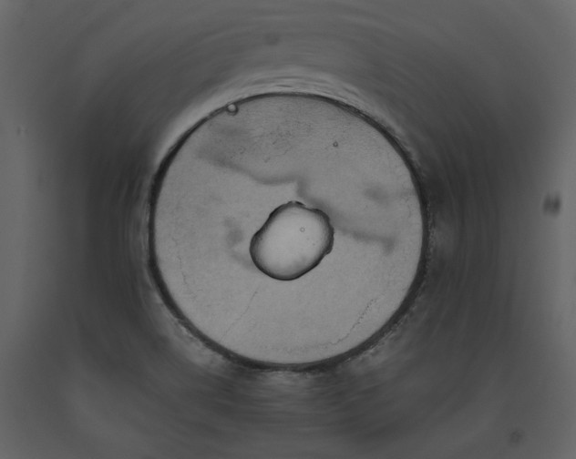 X0000093611514200710221557