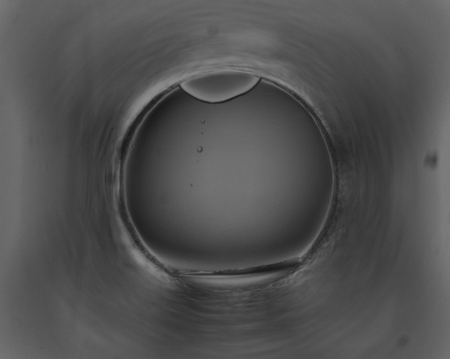 X0000093611515200710221557