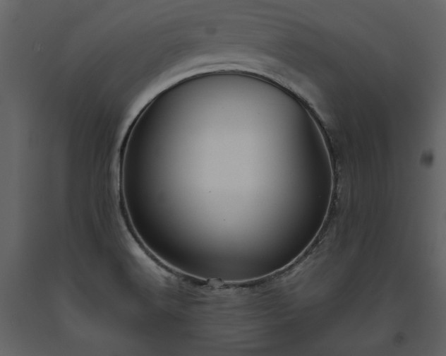 X0000093611516200710221557
