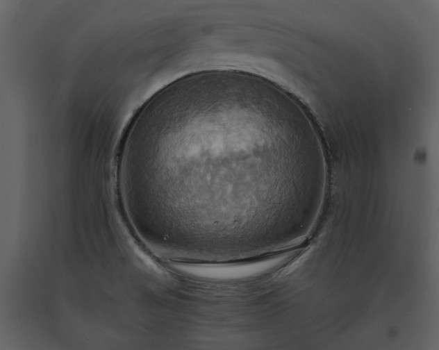 X0000093611517200710221557