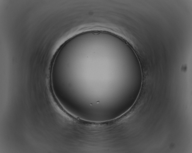 X0000093611518200710221557
