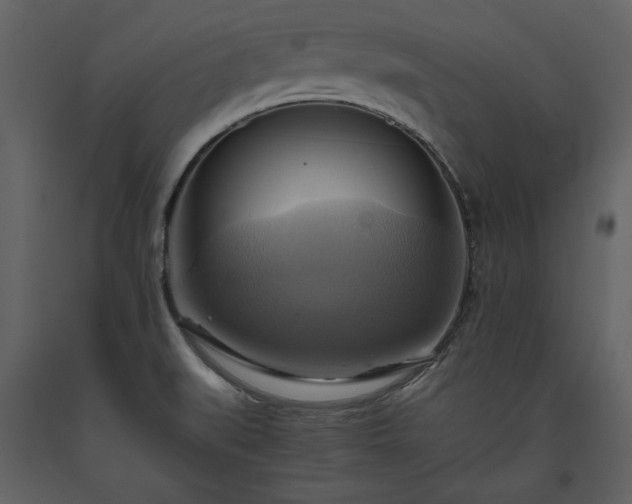 X0000093611519200710221557