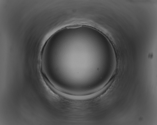 X0000093611520200710221557