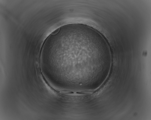 X0000093611521200710221557
