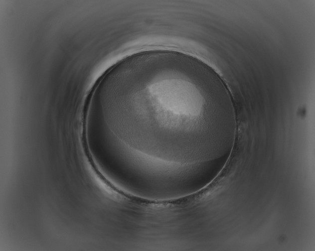 X0000093611523200710221557