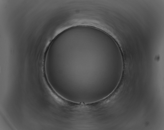 X0000093611525200710221557