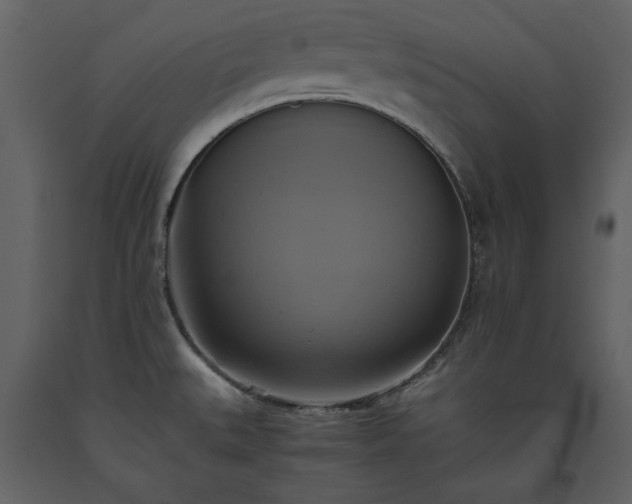 X0000093611527200710221557