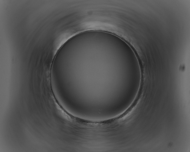 X0000093611529200710221557