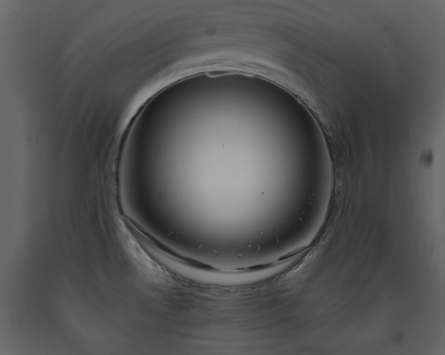 X0000093611530200710221557