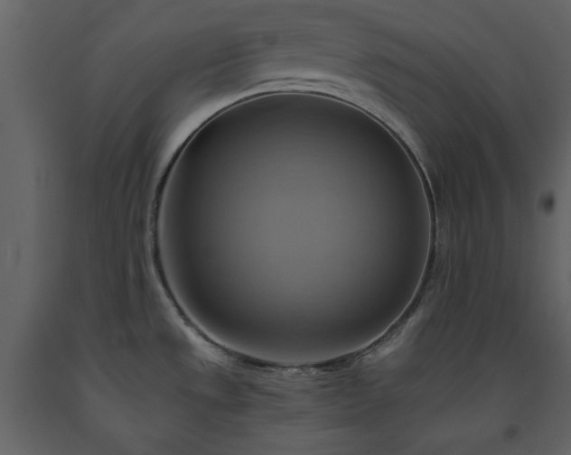 X0000093611533200710221557