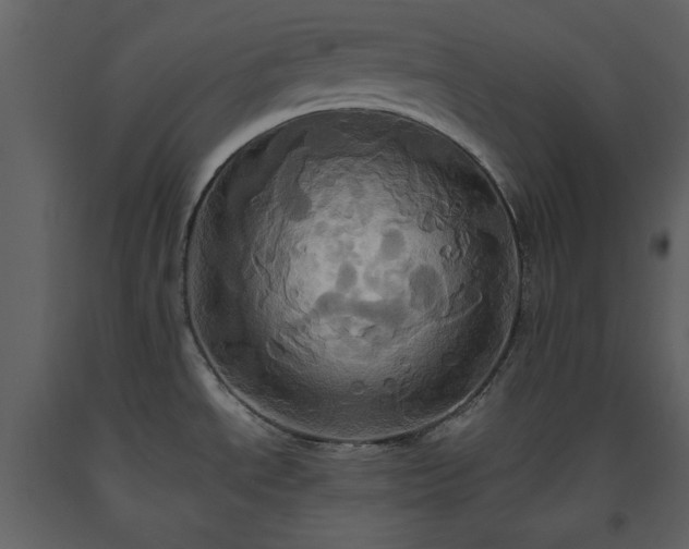 X0000093611534200710221557