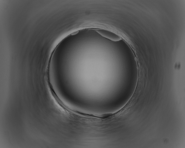 X0000093611536200710221557