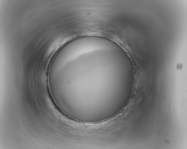 X0000093610002200710291215