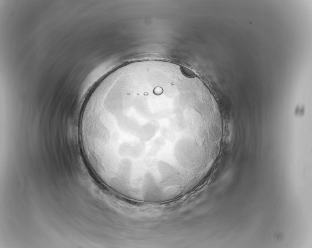 X0000093610004200710291215