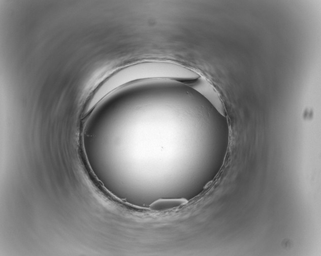 X0000093610005200710291215