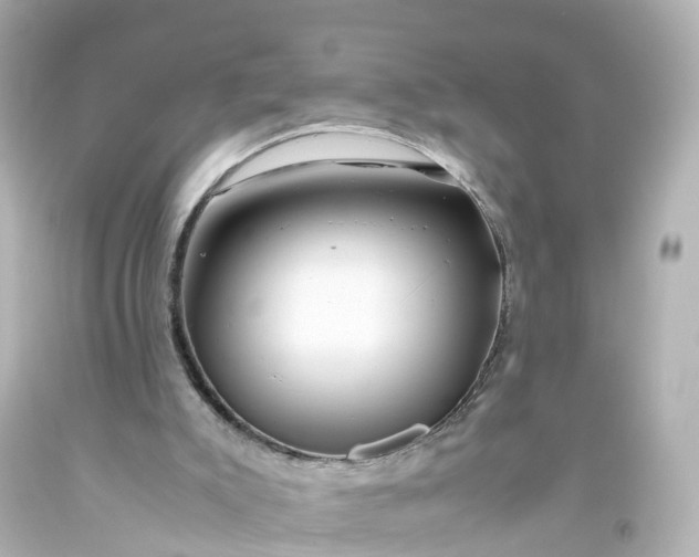 X0000093610007200710291215