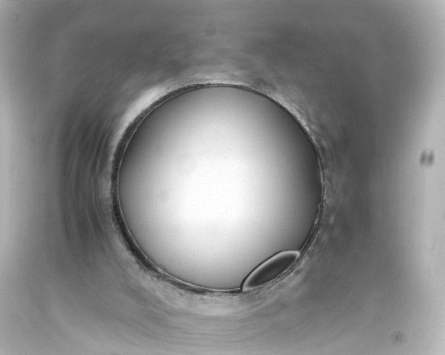X0000093610008200710291215