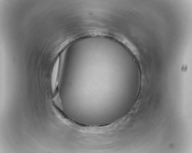 X0000093610009200710291215