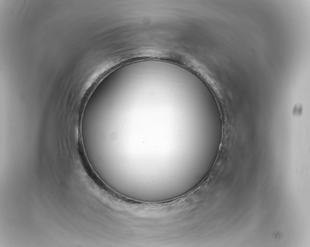 X0000093610011200710291215