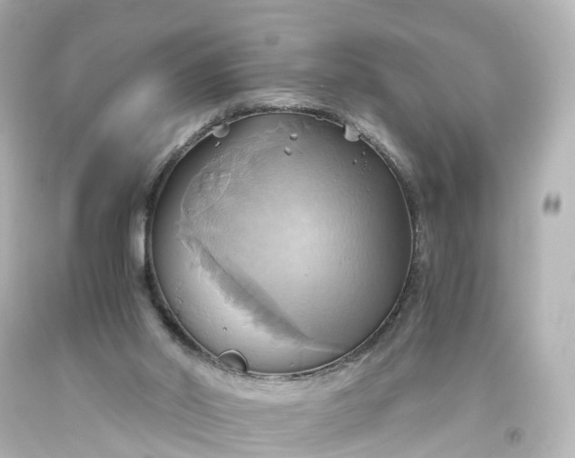 X0000093610014200710291215