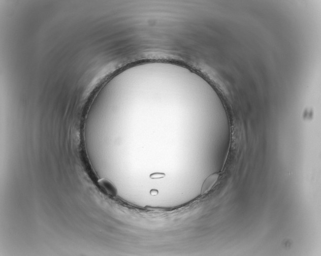 X0000093610015200710291215