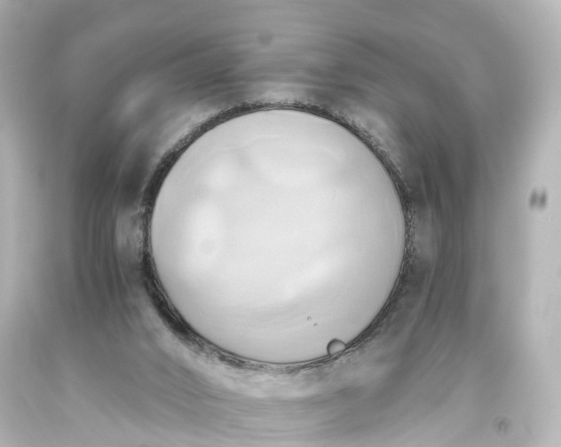 X0000093610016200710291215