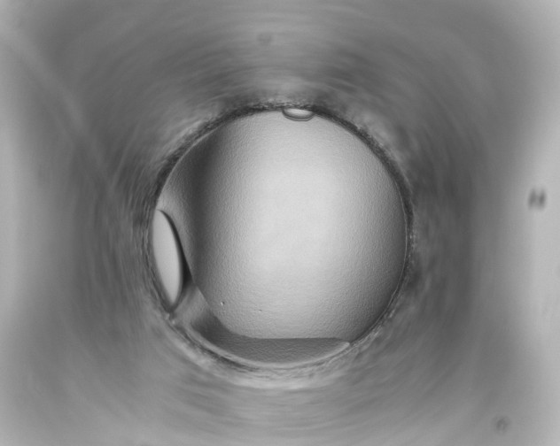 X0000093610017200710291215