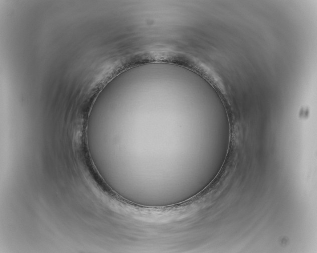 X0000093610018200710291215