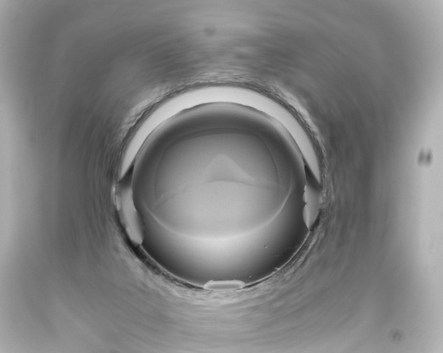 X0000093610019200710291215