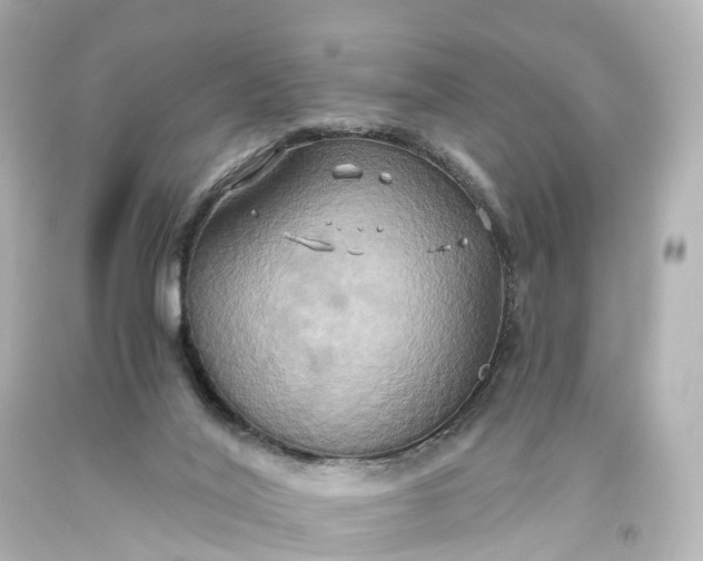 X0000093610020200710291215