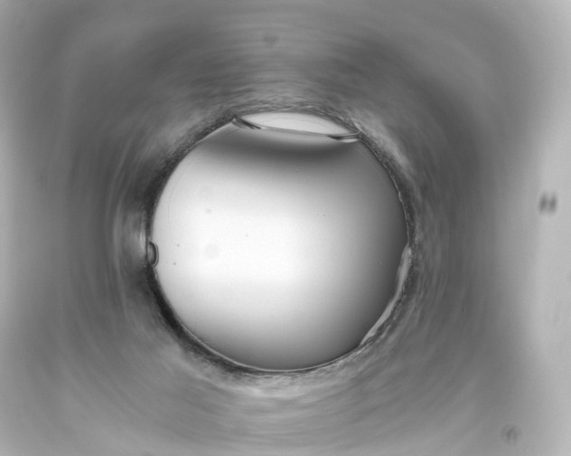 X0000093610021200710291215