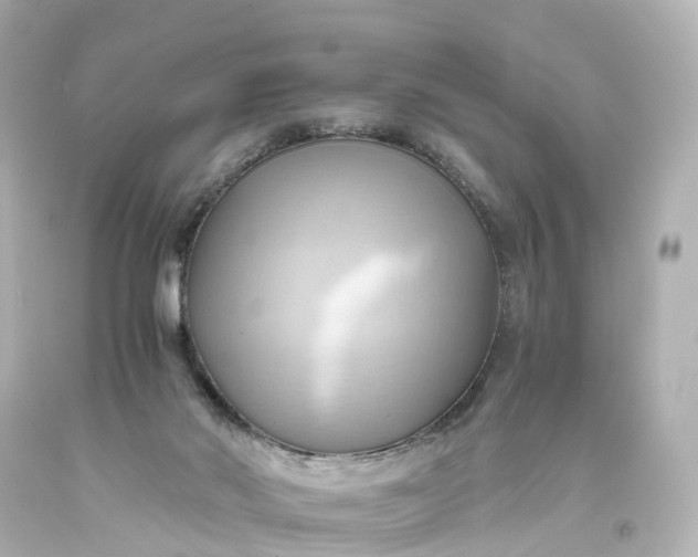 X0000093610022200710291215