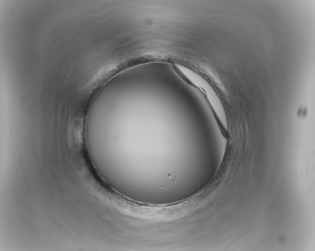 X0000093610023200710291215
