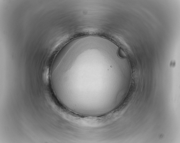 X0000093610024200710291215