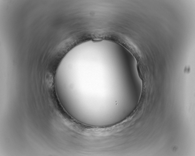 X0000093610025200710291215