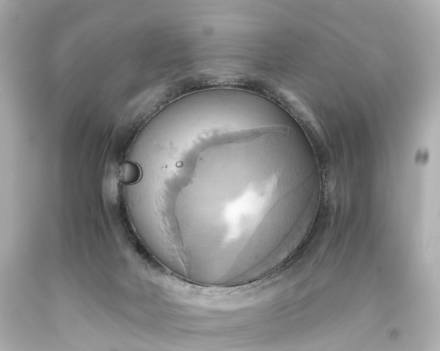 X0000093610026200710291215