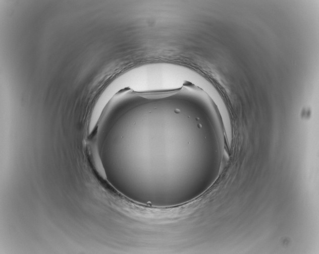 X0000093610027200710291215