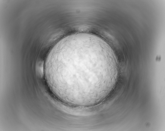 X0000093610028200710291215