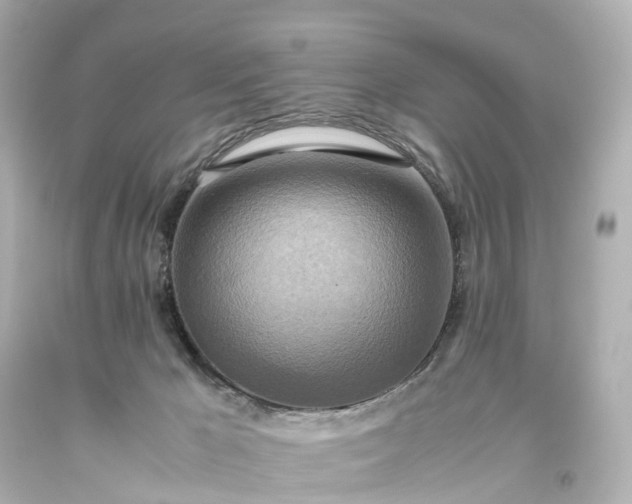 X0000093610029200710291214