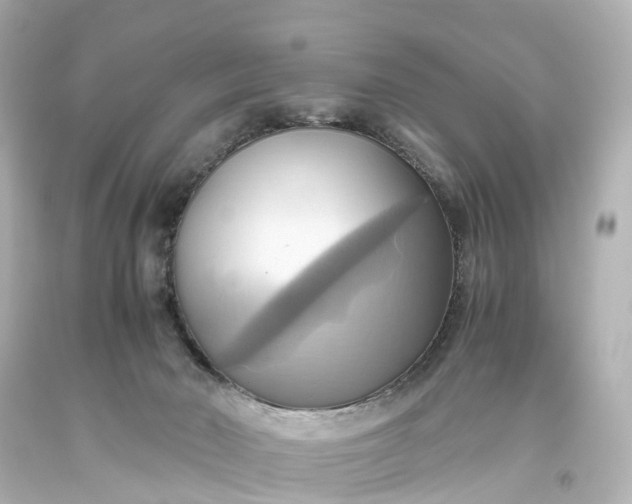 X0000093610030200710291214