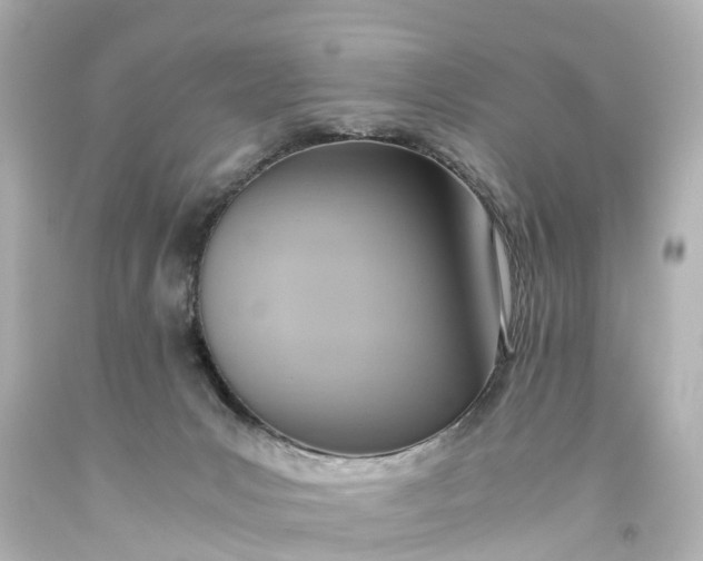 X0000093610031200710291214