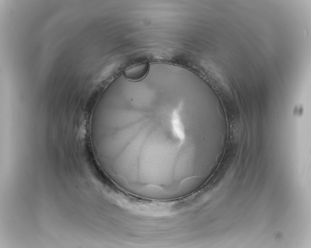 X0000093610032200710291214