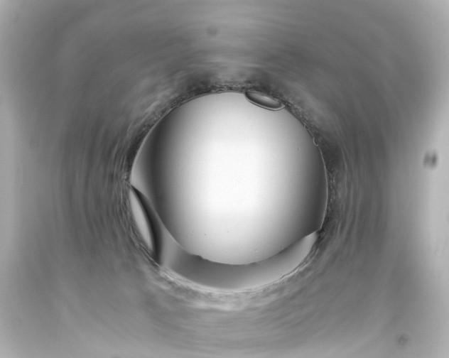 X0000093610033200710291214