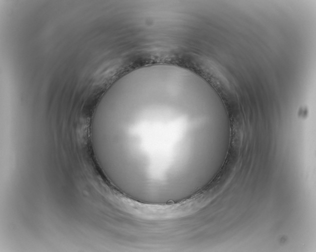X0000093610034200710291214