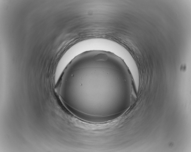 X0000093610035200710291214