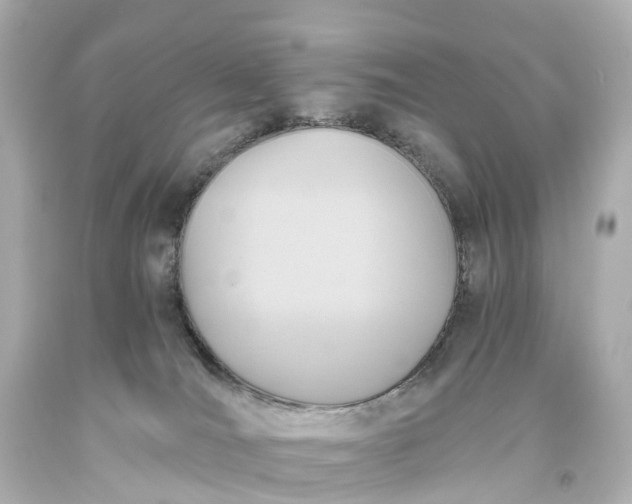 X0000093610036200710291214